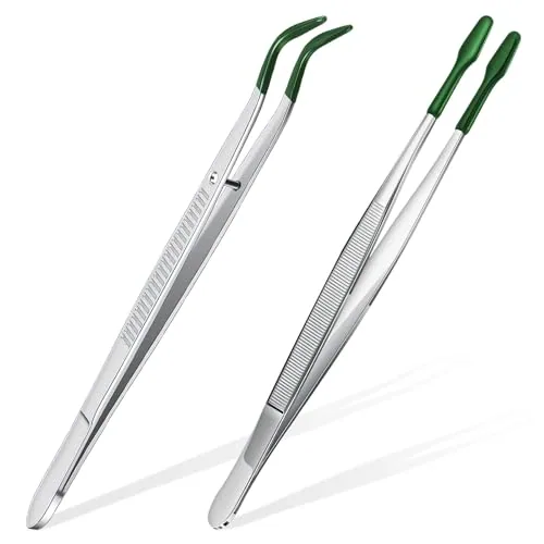 2 Piece Tweezers, Silver